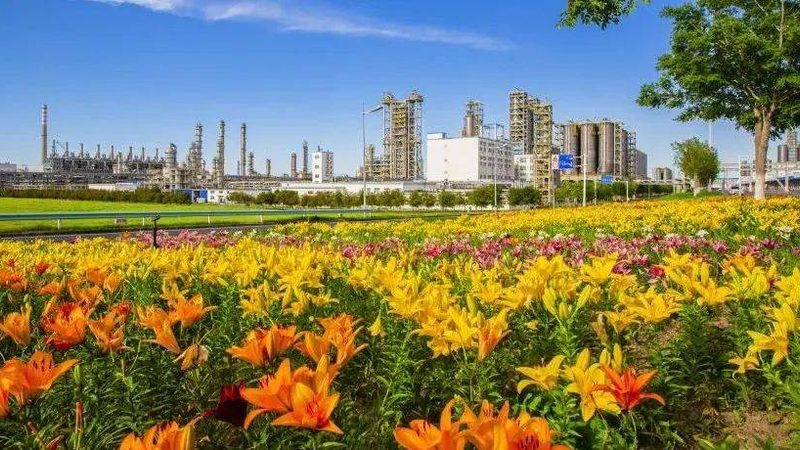 有机化工原料储存规范设计：关键参数与注意事项**